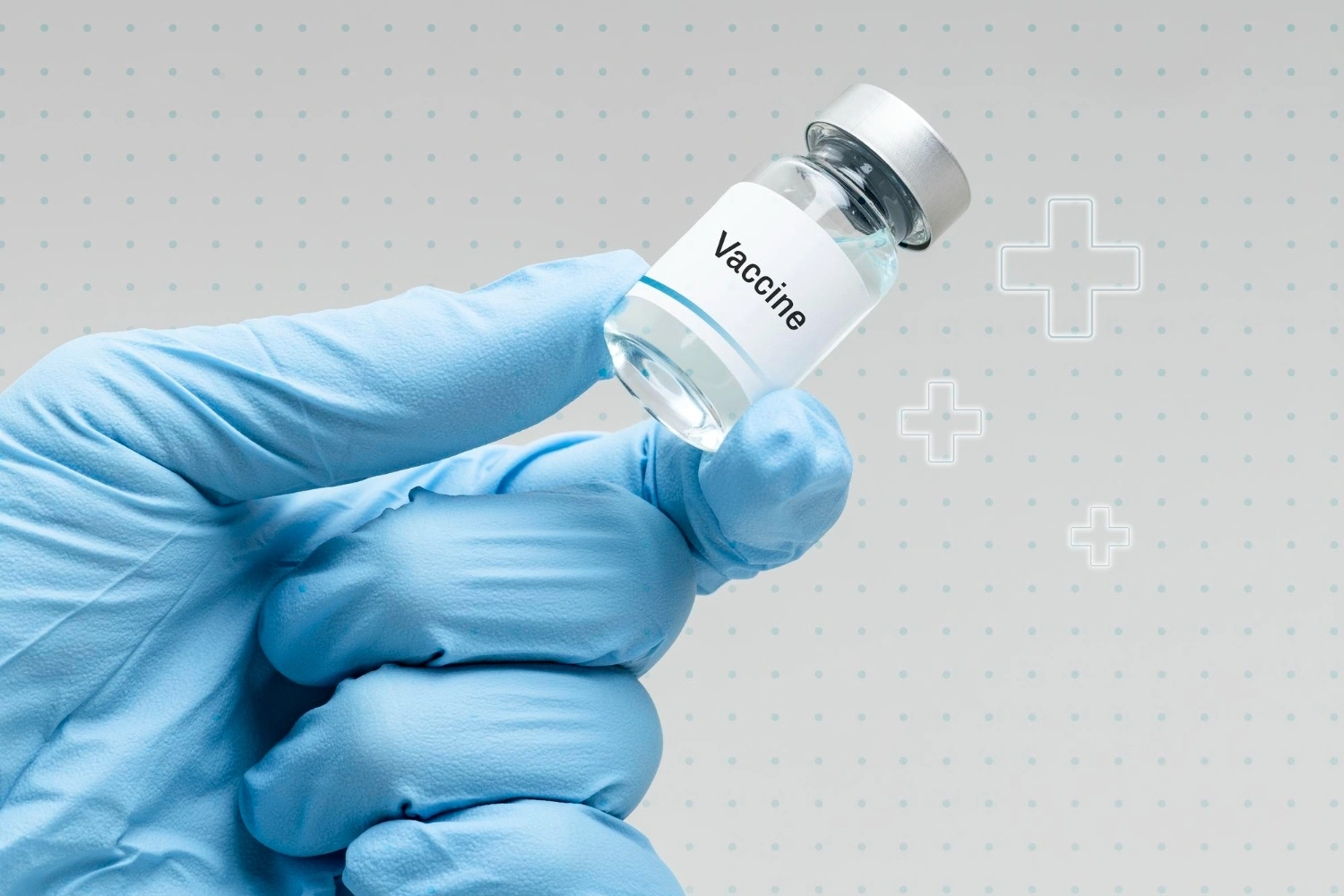 Jenis Vaksinasi Rabies