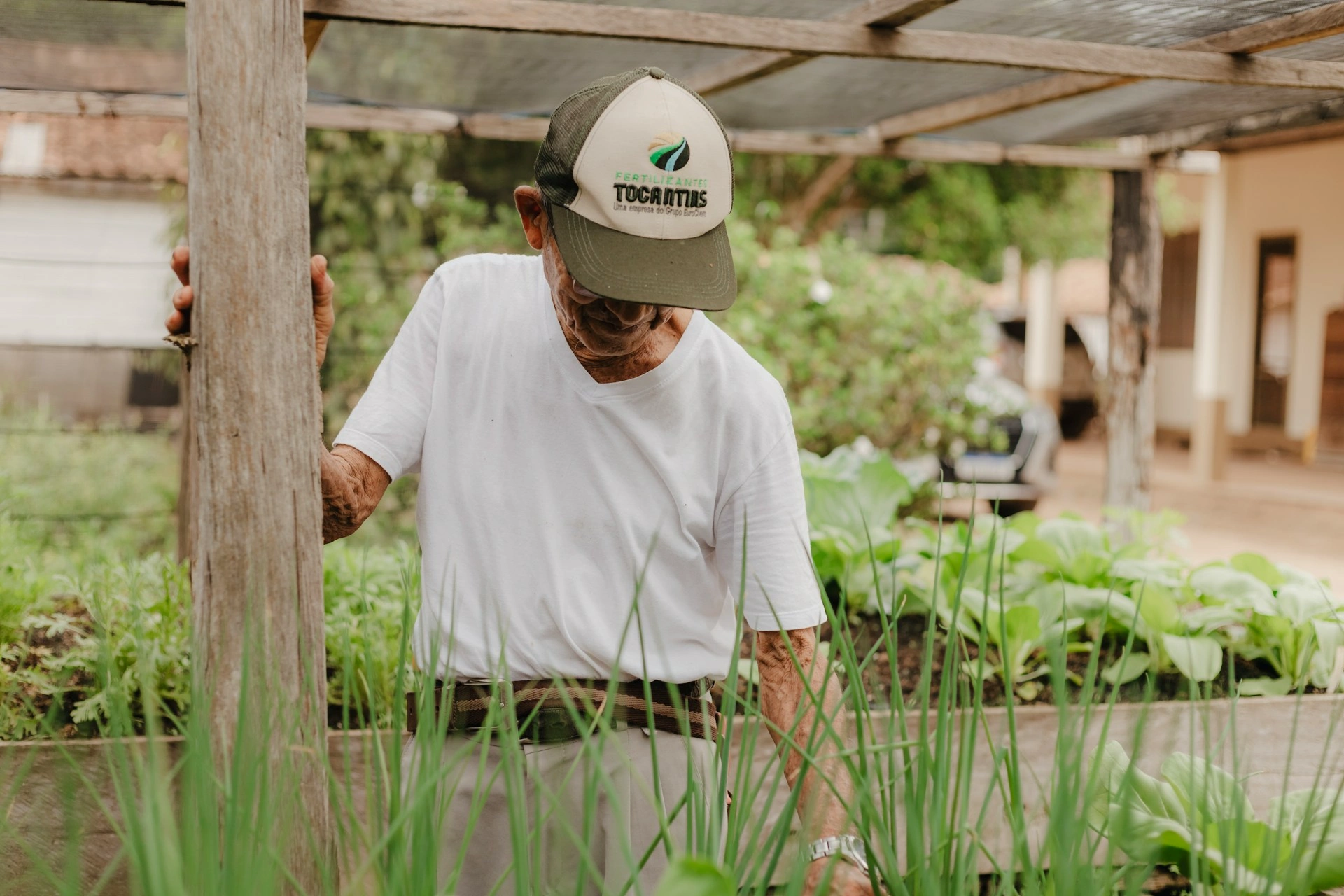 Aktivitas Pagi Lansia yang Aman dan Menyehatkan untuk Menunjang Usia Senja