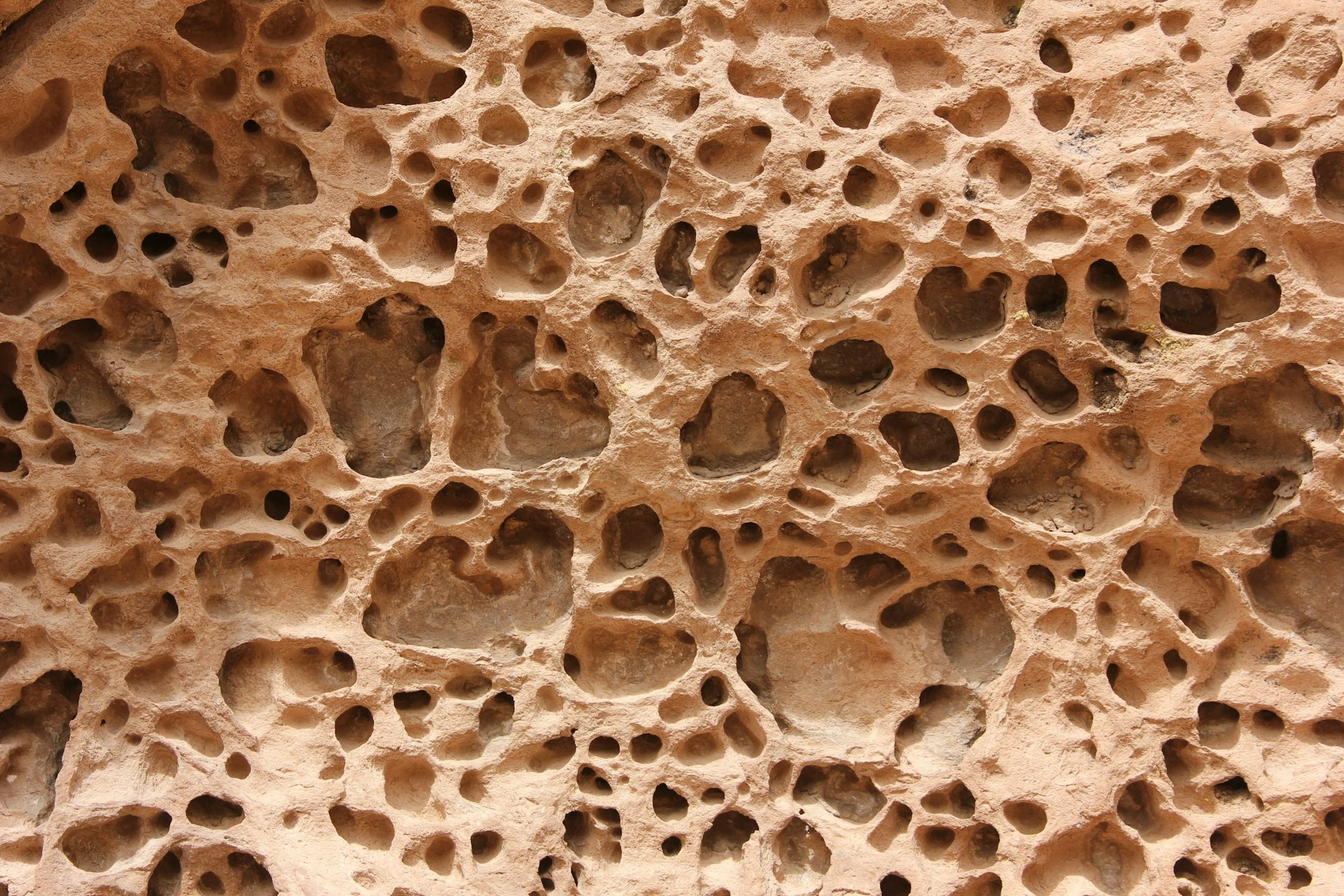 Mengenal Osteoporosis pada Lansia